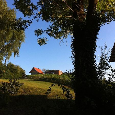 Ferienhaeuser Im Weingarten Fehring Εξωτερικό φωτογραφία